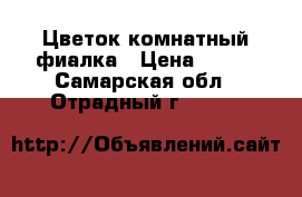 Цветок комнатный фиалка › Цена ­ 150 - Самарская обл., Отрадный г.  »    